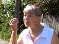 Криминал: В Житомире хладнокровно расстреляли семью бизнесмена